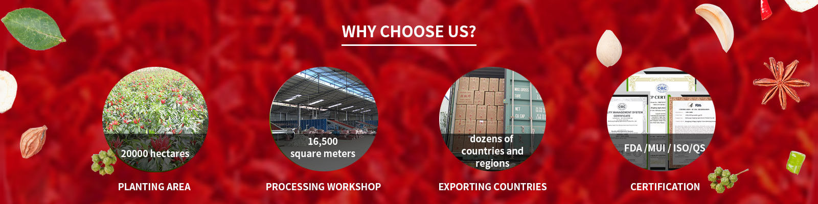 Chilli Pepper Powder