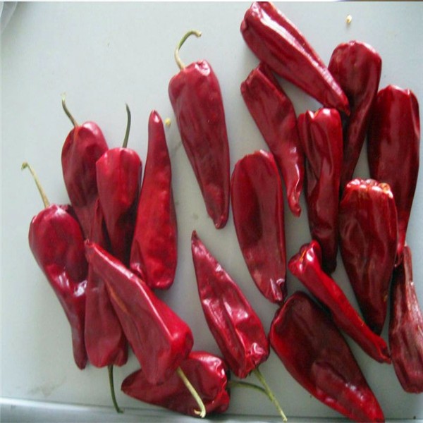 Yidu Dried Red Chile Peppers Food Condiment 9CM Chile Pods For Pozole