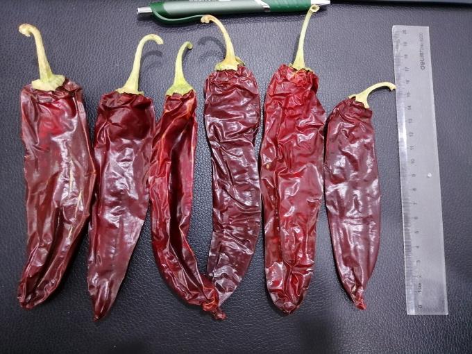 500 shu Dried Guajillo Chili Sweet Paprika Pepper BRC /Halal /ISO