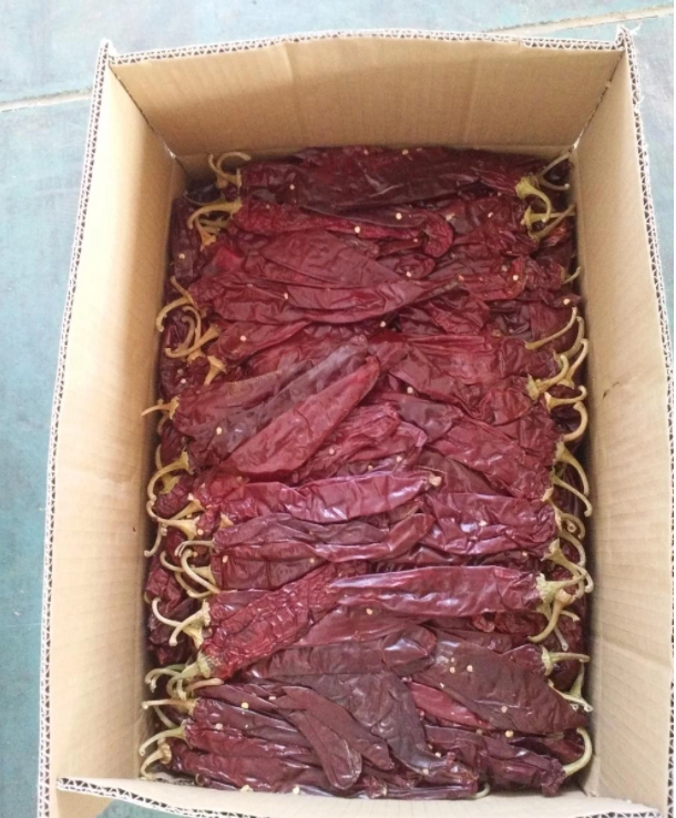 500 shu Dried Guajillo Chili Sweet Paprika Pepper BRC /Halal /ISO