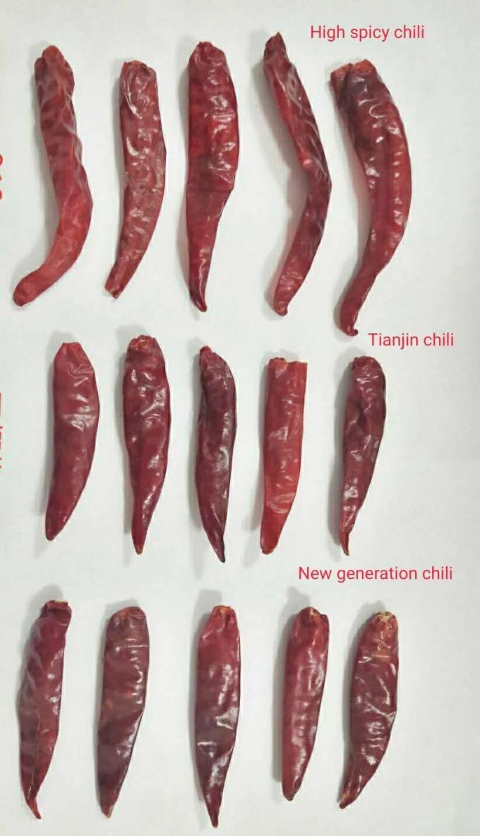 Halal Approved S4 Replacement New Generation Dried Red Chilli Peppers