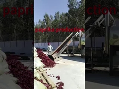 paprika cleaning process in China