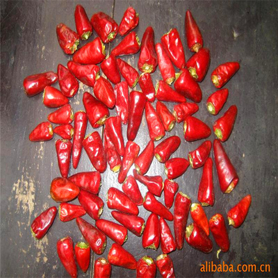 Round 12% Moisture Red Bullet Chilli Anhydrous HACCP With Hat King Small Size