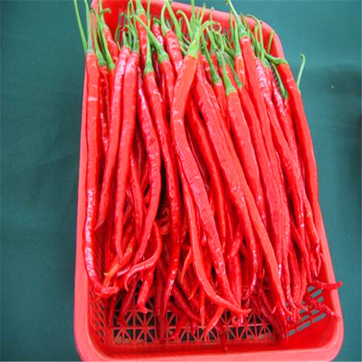 Erjingtiao Pepper Ingredients Chili Peppers Hot 8000-12000shu for Customer Requirements