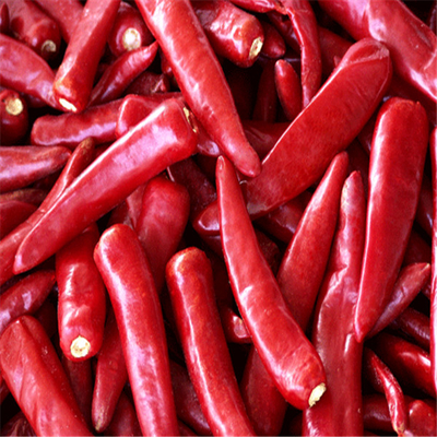 Whole Dried Red Chili Peppers with Stemless Ingredients Add Some Spice to Your Meals