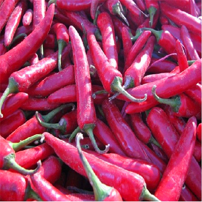 Whole Dried Red Chili Peppers with Stemless Ingredients Add Some Spice to Your Meals