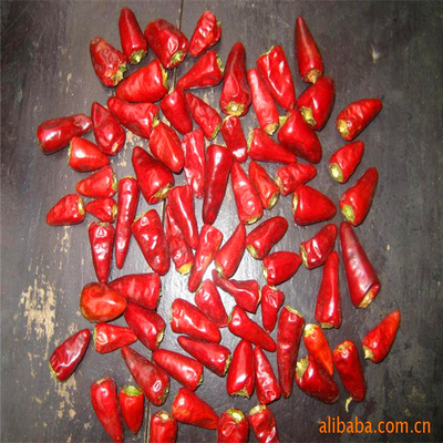Stemless Dried Red Bullet Chilli Round 12% Moisture 4 - 7cm