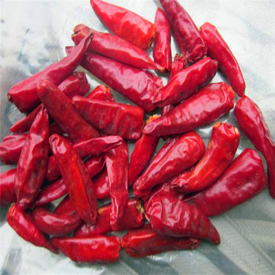 Stemless Dried Red Bullet Chilli Round 12% Moisture 4 - 7cm