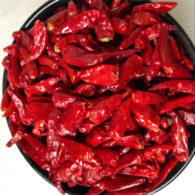 Single Herbs Dark Red Bullet Chilli Perfect Fit Looking Efficiency