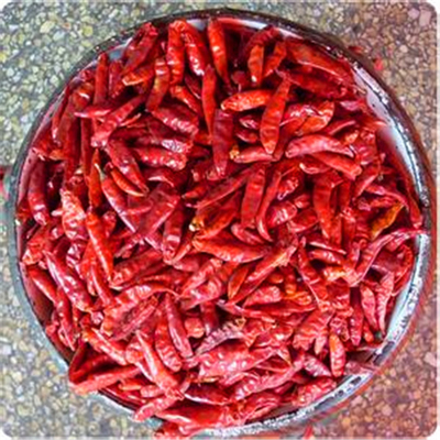 Single Herbs Dark Red Bullet Chilli Perfect Fit Looking Efficiency