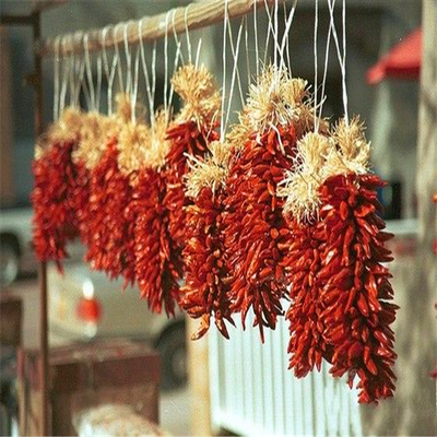 Colourful And Flavourful Dark Red Bullet Single Herbs Spices