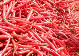 Spicy Dried 1KG Birds Eye Chilli Ingredients Delivering Unmatched Flavor
