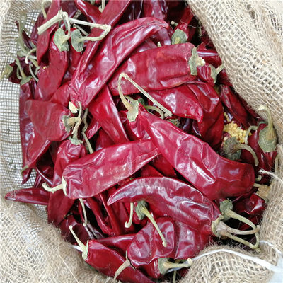 Vacuum Sealed Bag Dried Guajillo Chili Peppers Aroma Fruity &amp; Smoky Moisture 8% - 12%