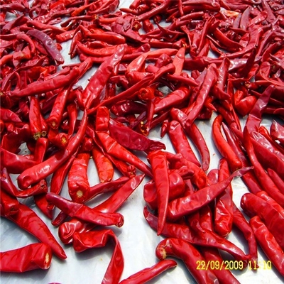 Mild Heat Sweet Dried Paprika Pepper 1% Max Impurity 15Cm