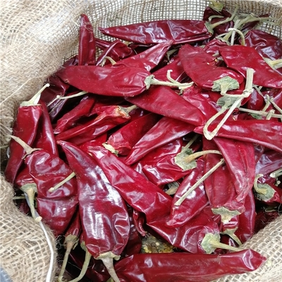 800shu Yidu Chili With Strong Pungent Chilli Flavor And Iron Nutrition