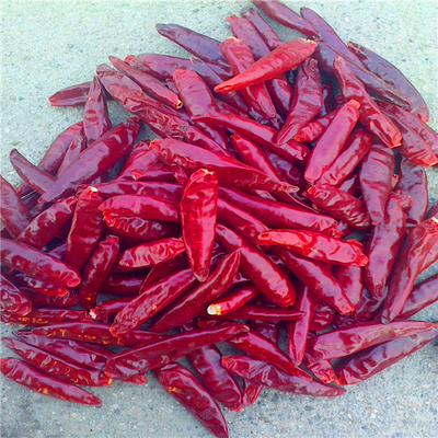 Spicy Small Red Tianjin Chilies High In Vitamin C Nutritious And Delicious