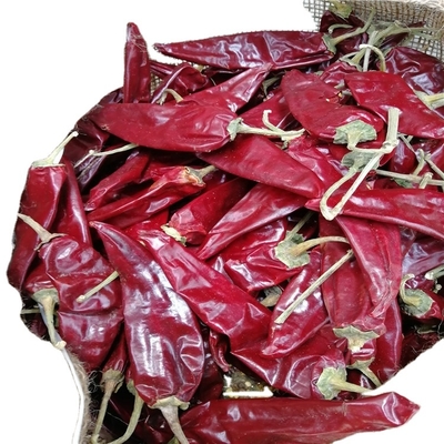 800shu Hot Dried Yidu Chili Long Red Chillie Authentic Flavor 7-15cm