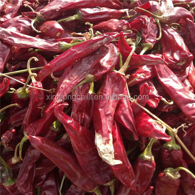 Flavor-Packed Yidu Chili 7-15cm Length From Quality Chili