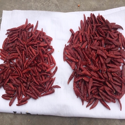 Small Tianjin Red Chilies For Room Temperature - Bag Packaging