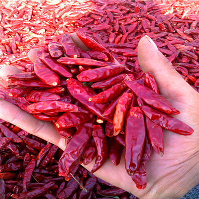 Hot Pot/ Sichuan Cuisine Dried Red Chilli Peppers 4-7cm With 50 Hot Pungency