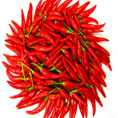 Stem Cut Sun Dried Red Chilli Peppers With Guaranteed Moisture 14%Max