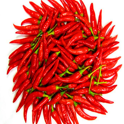 4-7cm Stemless Dried Red Chilli Peppers 90000 SHU With Strong Pungent Chilli Flavor