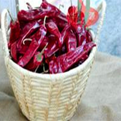 Origin Spicy Flavor Chinese Dried Chili Peppers NO Allergen Information 14 Cm