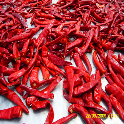 Spicy Chinese Dried Red Chili Peppers With As Ingredients