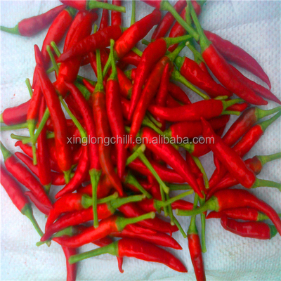 High In Vitamin C Dried Chili Peppers Nutrition Facts