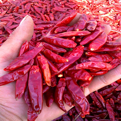 Peppers Chilli Moisture 12%max Moisture Controlled Peppers