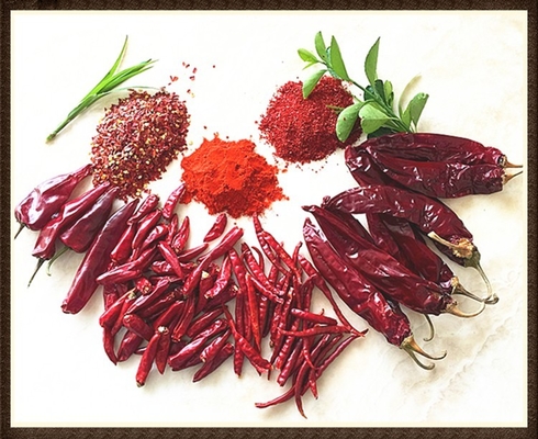 Moisture 8%-12% Dried Guajillo Chili Red Whole / Stick