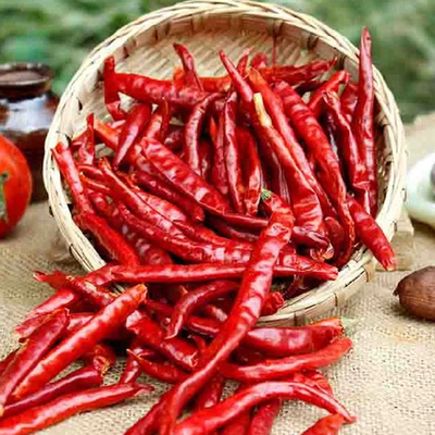 Red Paprika Chili Spice And Seasoning Powder For Your Fine Dining Experience