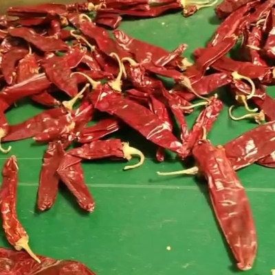 Single Herb And Spice On Dried Paprika Peppers For Your Business Needs