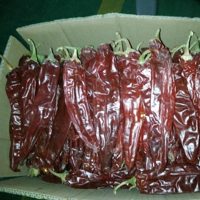 Dried Red Paprika Pods For Your Food Ingredients Business