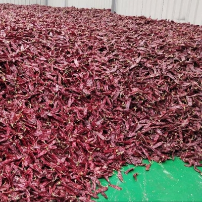 1000 cfu/g Paprika Pods For Your Food Ingredients Business
