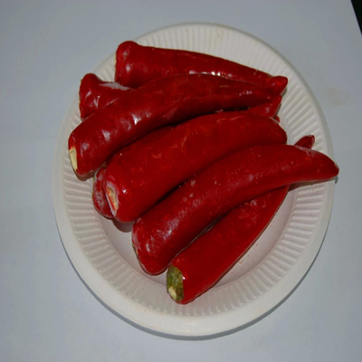 Premium Indian Chilli Powder - Finely Textured ASTA 120
