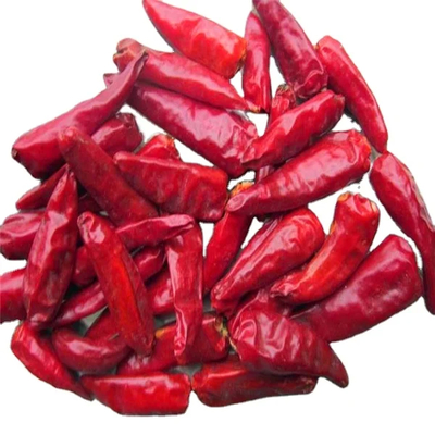 2% Max Broken Rate Air Dried Red Bullet Chilli with Sample and Freight Collected