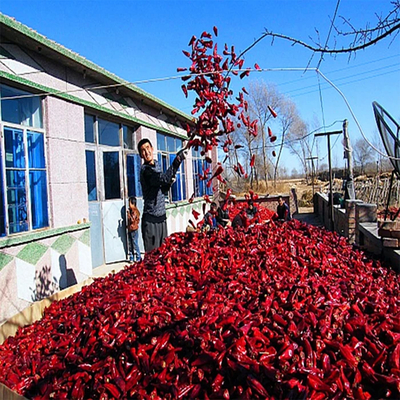 Yidu Red Chili Enriched with Vitamin A/C and Minerals