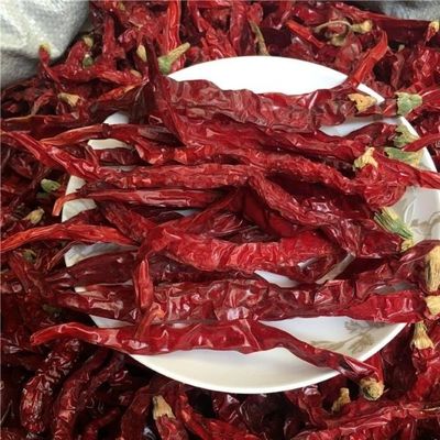 Experience the Heat of Dried Red Chilli Peppers for Hot Pot and Sichuan Cuisine Moisture 12%max