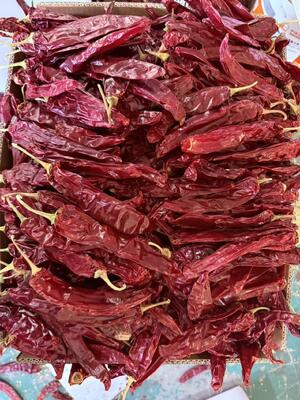 Natural Red No Additive Paprika Chilli Dried Red Chilli Peppers 10kg/CTN for Food Cooking