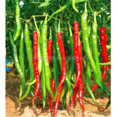 Red Bullet Hat with Comfortable Inner Lining Soft Touch Providing All Day Wearability and Customer Satisfaction