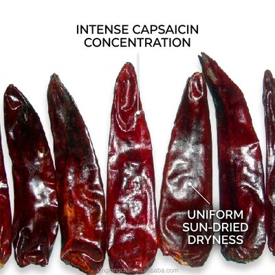 Low Moisture Dried Red Chili Peppers 8% Max Natural Sundried Premium Export Grade 4-7cm 5000-20000SHU