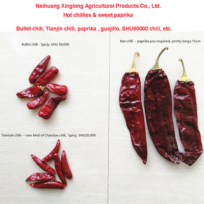 1 Year Shelf Life Sweet Paprika Pepper Dried Red Chilli Additive For High Quality Food Ingredient