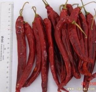 Block Shape Xian Chilli Seasoning Stemless Long Dry Red Chilli