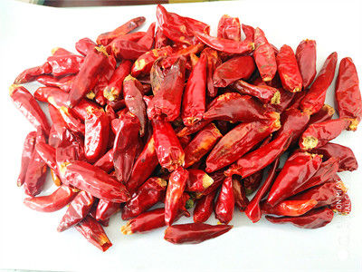 In Vitamin C Red Jinta Chilli Pepper