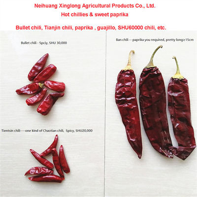 Hot Pungent Dried Red Chili Pepper 10-25Kg/Bag 000-20 Scoville