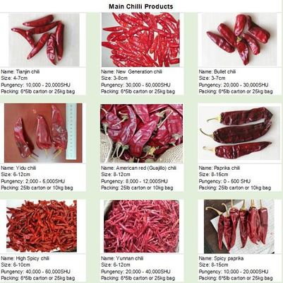 Yidu Chili with Pungent Chilli Flavor