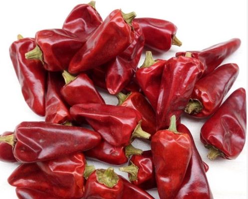 Zero Additive Red Bullet Chilli Sterilized 4CM Dehydrating Chillies