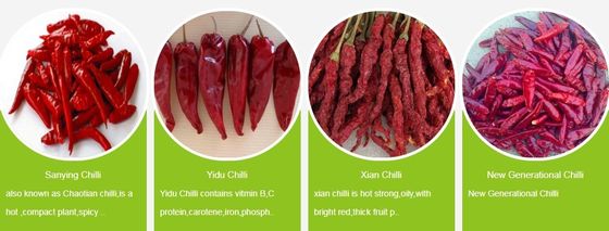 2% Max Broken Rate Air Dried Red Bullet Chilli with Sample and Freight Collected