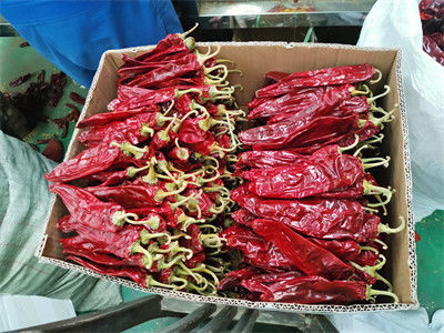 Red Dried Paprika Peppers Spice And Seasoning Powder For Food Ingredient Company